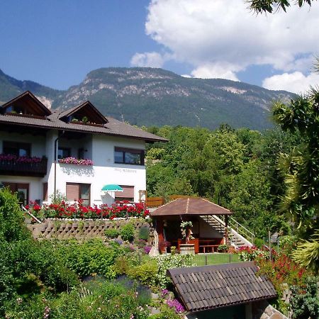 Haus Marion Daire Appiano Sulla Strada Del Vino Dış mekan fotoğraf