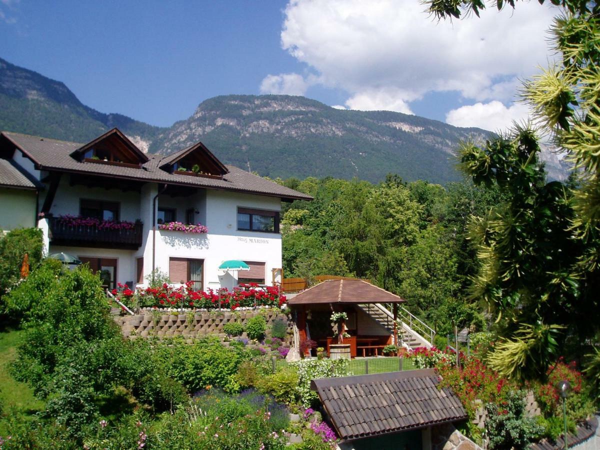 Haus Marion Daire Appiano Sulla Strada Del Vino Dış mekan fotoğraf